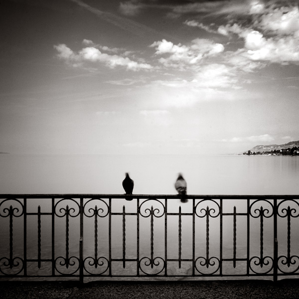 AnamChara : Soul Friendship