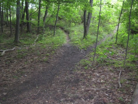 cr-two-paths-diverged-in-a-wood-and-i