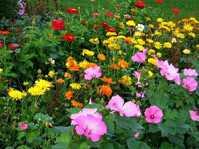 flower garden gardening-thumb
