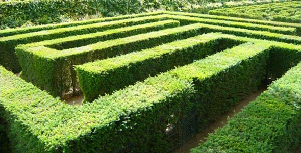 Maze