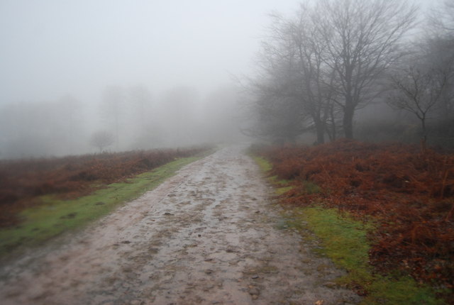 mist walk