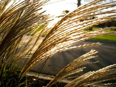 6a00e553838b918833012875a596a0970c-400wi