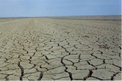 dry desert