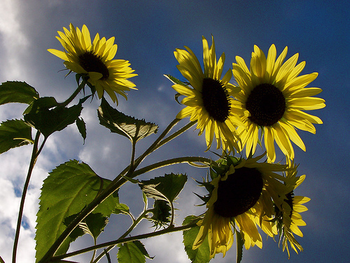 1383915312_3d7cd5a3c8