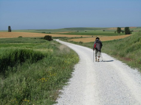 SM: Pilgrim on the Camino