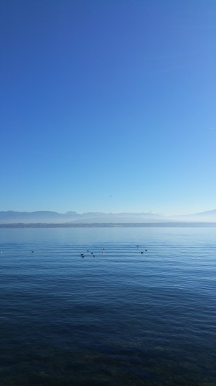 lake nyon